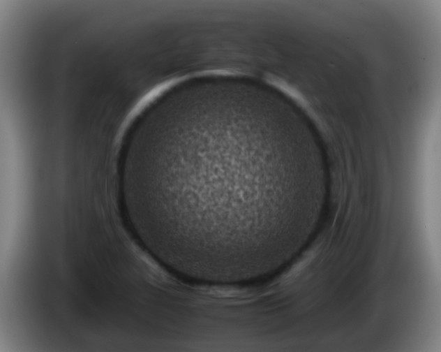 X0000086111319200703301228