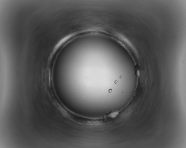 X0000086111320200703301228