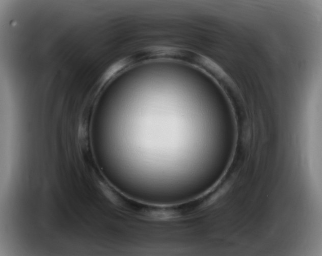 X0000086111321200703301228