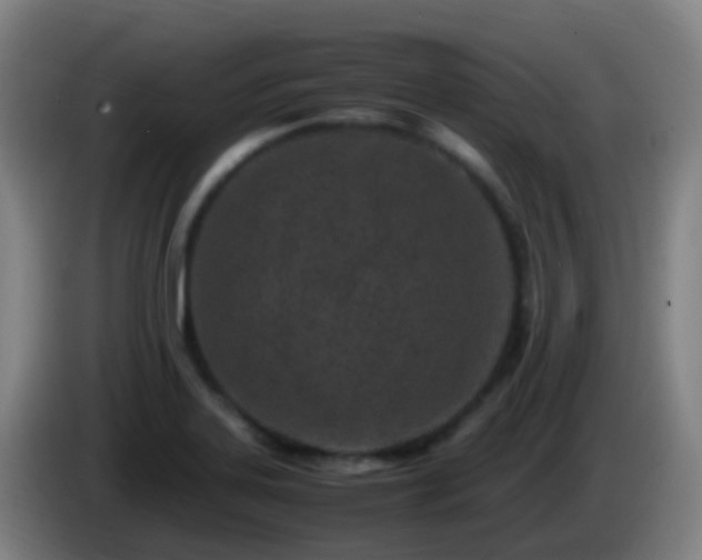 X0000086111323200703301228