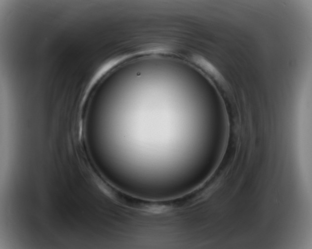 X0000086111324200703301228