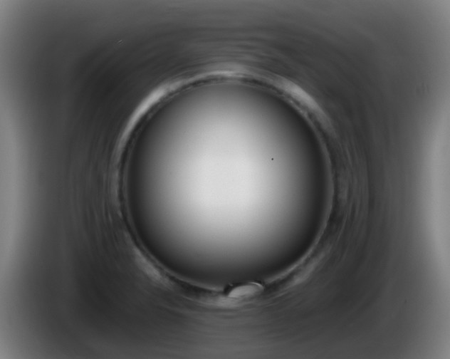 X0000086111326200703301228