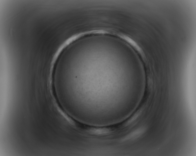 X0000086111327200703301228