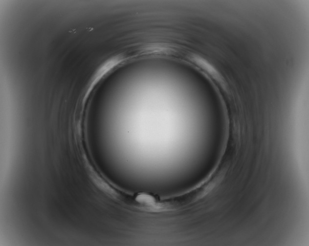 X0000086111330200703301228