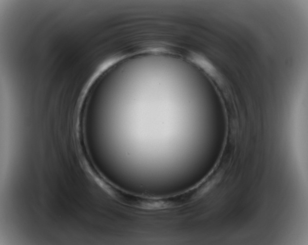 X0000086111331200703301228