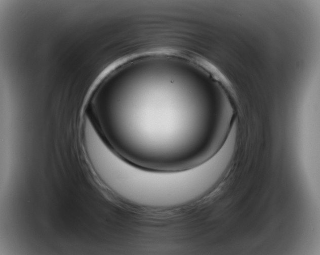 X0000086111332200703301228