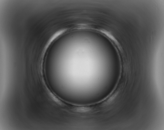 X0000086111333200703301228