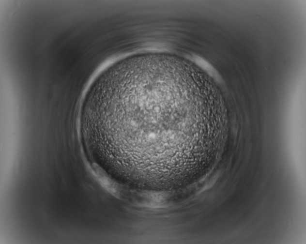 X0000086111334200703301228