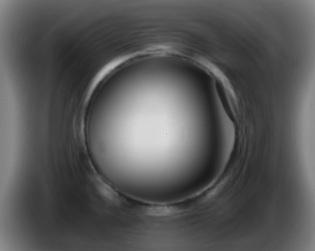 X0000086111336200703301228