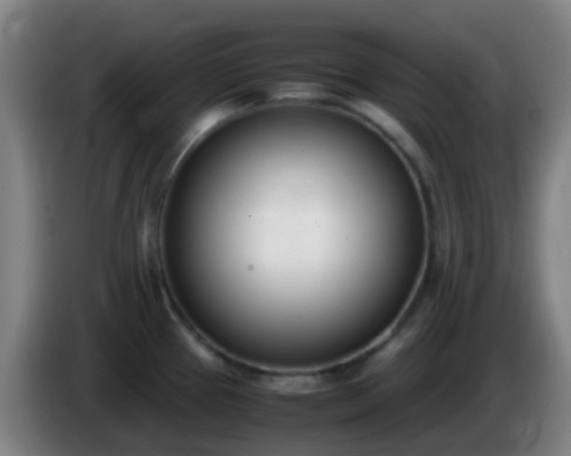 X0000086111337200703301228