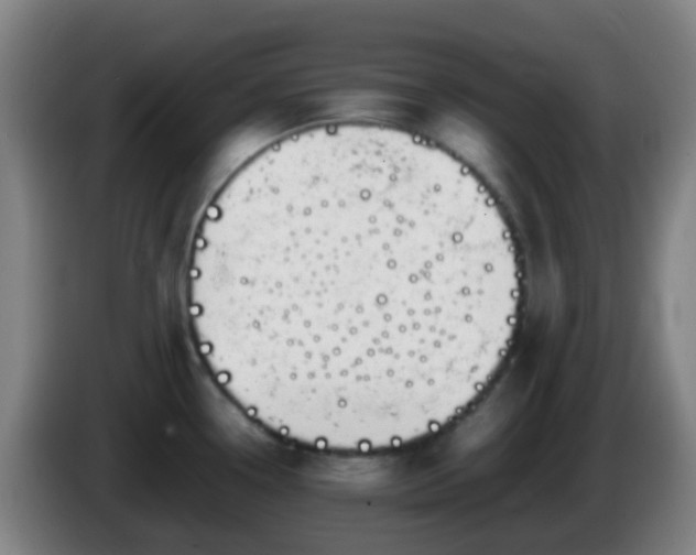 X0000086111338200703301228