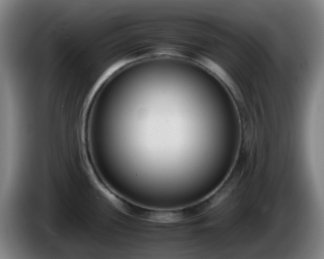 X0000086111339200703301228