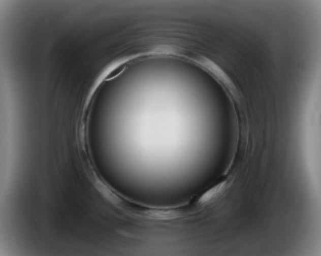 X0000086111340200703301228