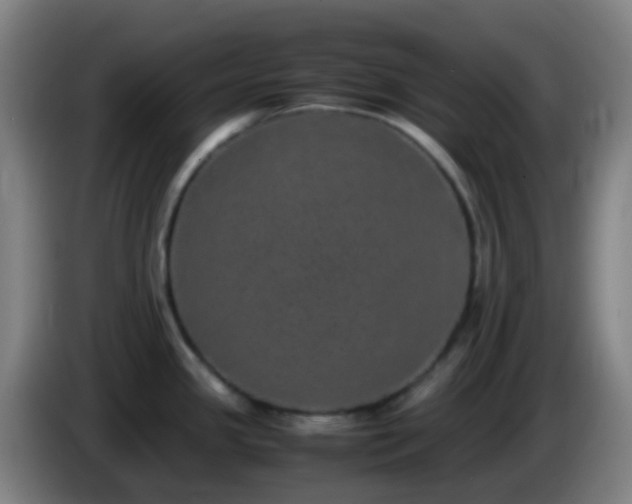 X0000086111341200703301228