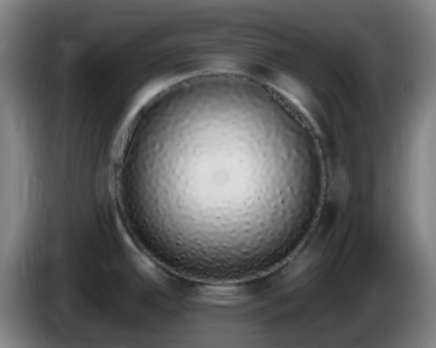 X0000086111342200703301228