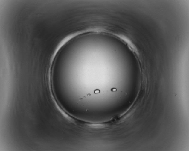 X0000086111343200703301228