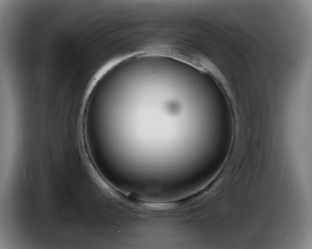 X0000086111344200703301228