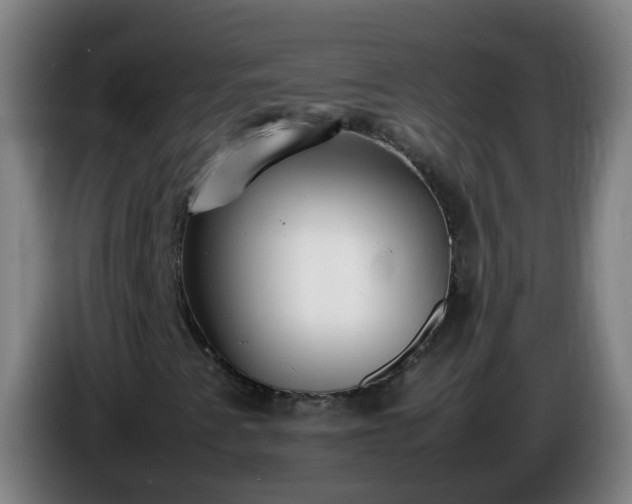 X0000086111345200703301228