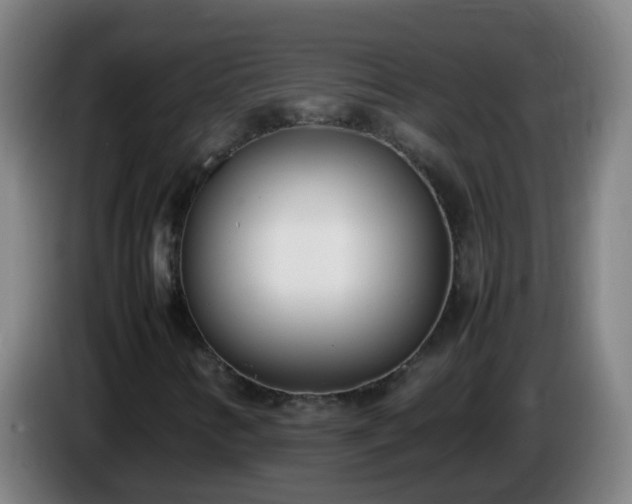 X0000086111346200703301228