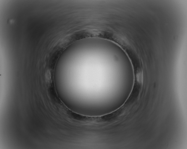 X0000086111347200703301228