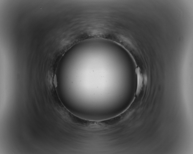 X0000086111348200703301228