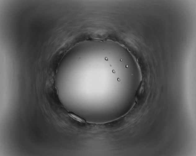 X0000086111349200703301228