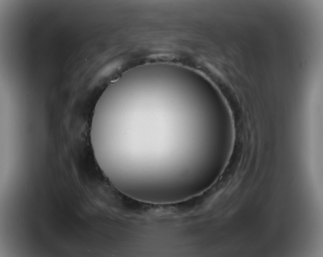 X0000086111351200703301228