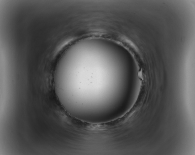 X0000086111352200703301228