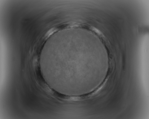 X0000086111353200703301228