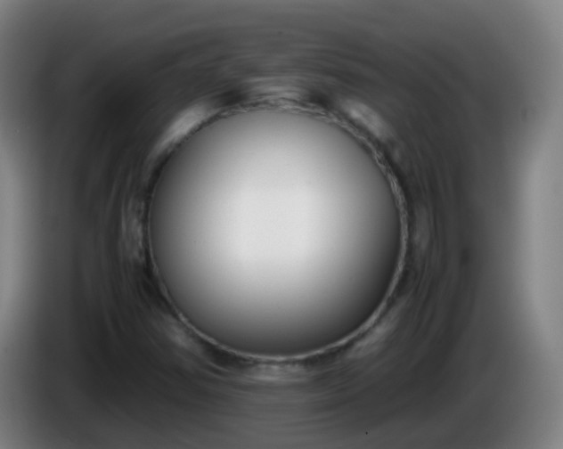 X0000086111354200703301228