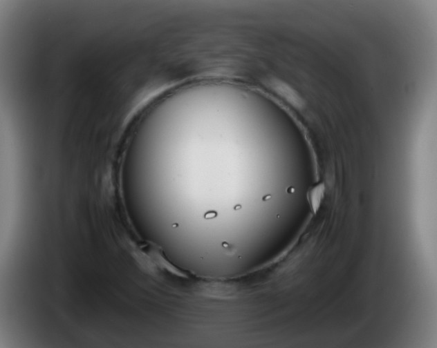 X0000086111356200703301228