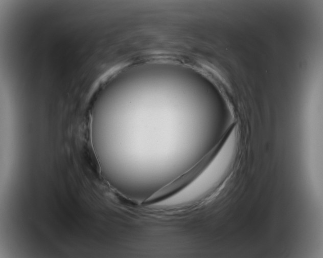 X0000086111357200703301228