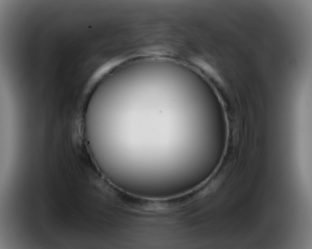 X0000086111358200703301228