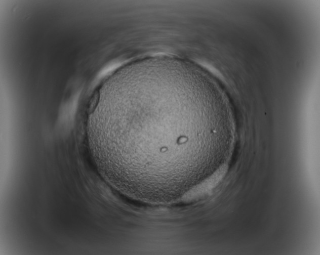 X0000086111359200703301228