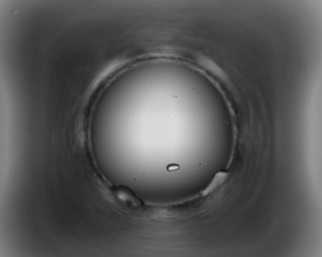 X0000086111360200703301228