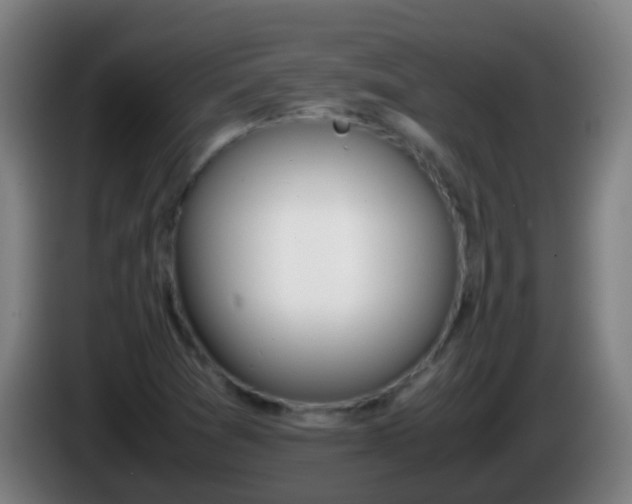 X0000086111361200703301228