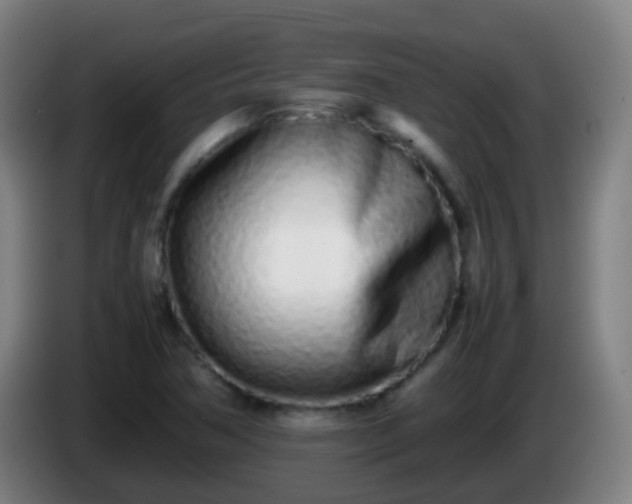 X0000086111362200703301228