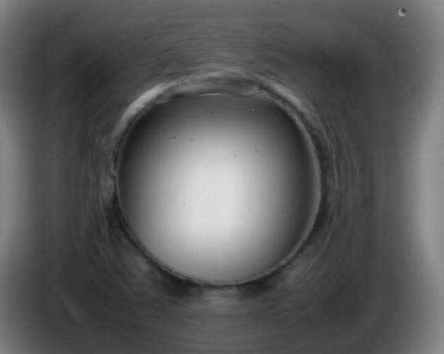 X0000086111363200703301228