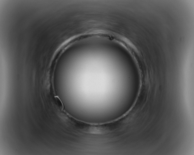 X0000086111364200703301228