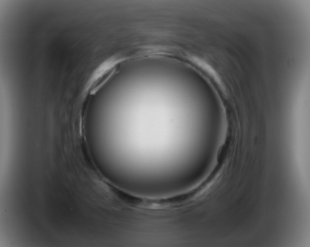 X0000086111365200703301227