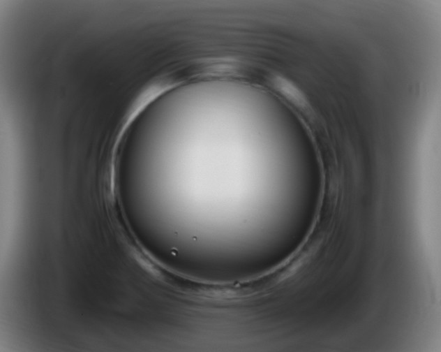 X0000086111370200703301227