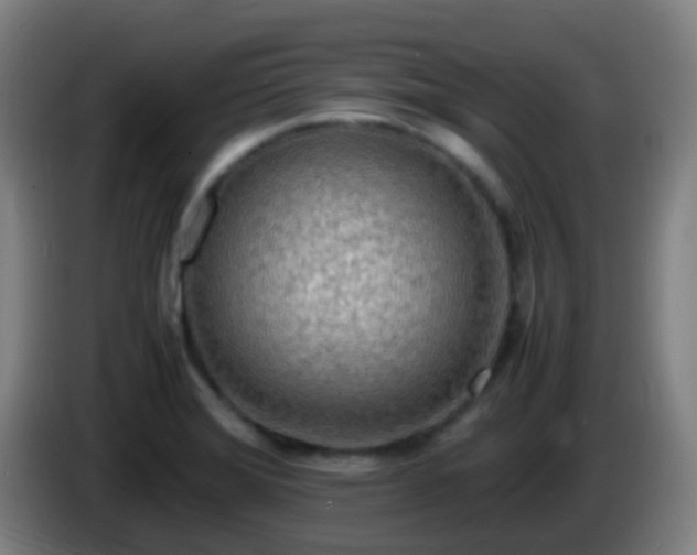 X0000086111372200703301227