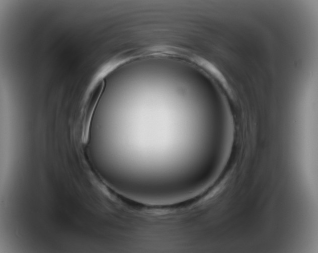 X0000086111373200703301227