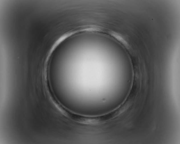 X0000086111375200703301227