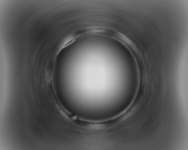 X0000086111377200703301227