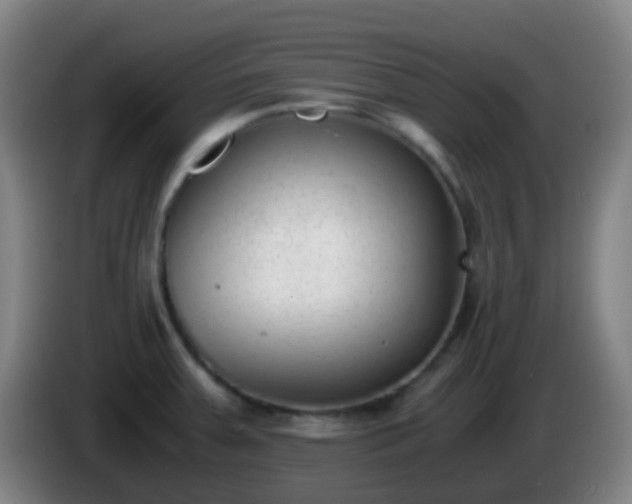 X0000086111379200703301227