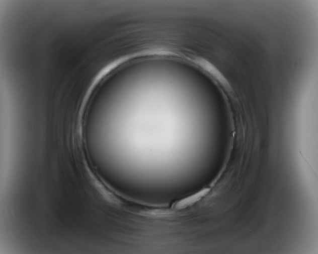 X0000086111380200703301227