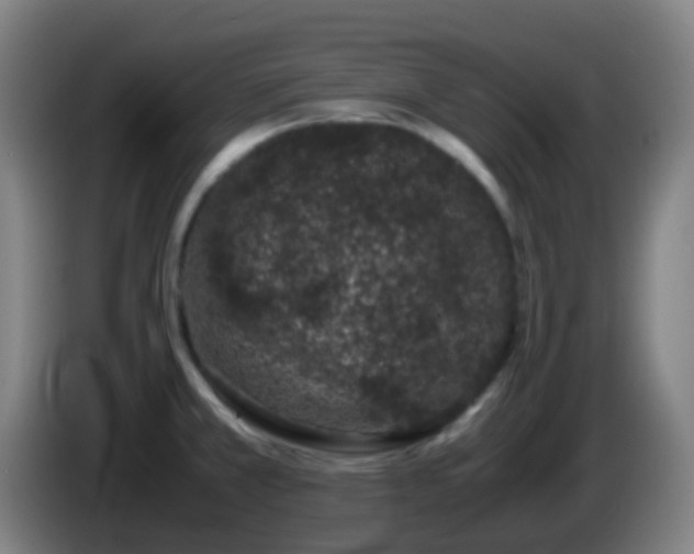 X0000086111381200703301227