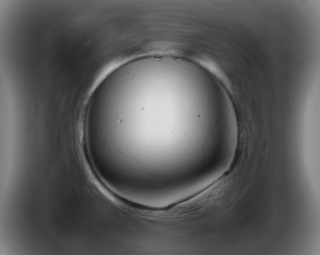 X0000086111383200703301227