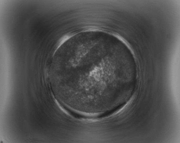 X0000086111385200703301227